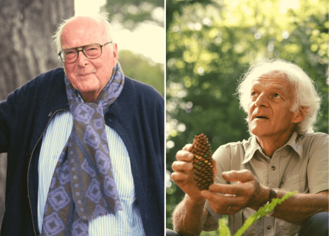 Ceci est une photo de Francis Hallé, botaniste, appuyé contre un arbre à gauche. Et Ernst Zürcher à droite qui tient une pigne de pin dans sa main.