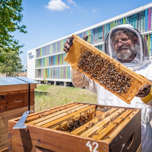 Ceci est une photo montrant Pascal By, apiculteur, et les ruches posées devant le siège du Grand Avignon
